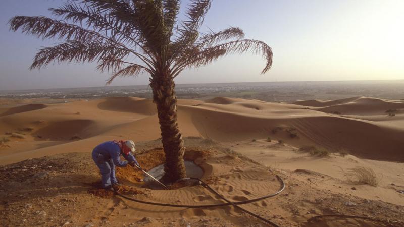 مبادرة "السعودية الخضراء" 