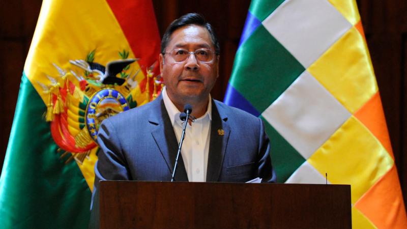 رئيس بوليفيا لويس آرسي (غيتي)