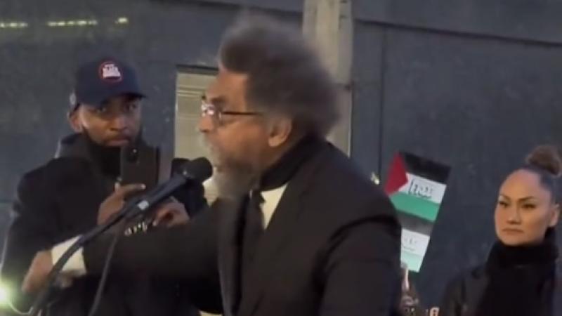 شارك كورنيل ويست في مظاهرة مؤيدة لفلسطين أمام مقر الأمم المتحدة في نيويورك 