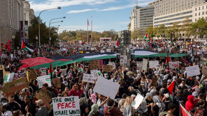 مظاهرة في واشنطن دعمًا لفلسطين وتنديدًا بالعدوان الإسرائيلي على غزة