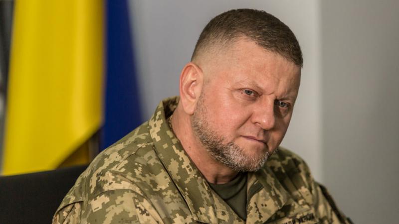 أوكرانيا تبلغ واشنطن عزمها عزل قائد الجيش - غيتي