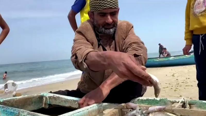 يواجه الصيادون في بحر غزة مخاطر كثيرة نتيجة الحرب الإسرائيلية