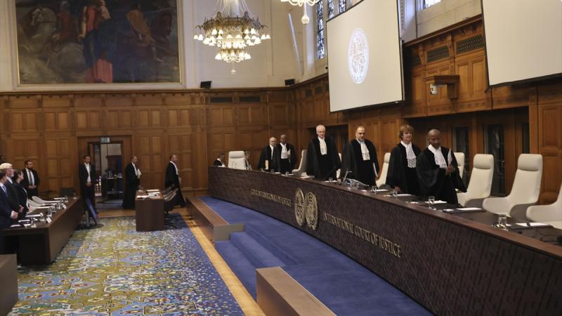 تمارس محكمة العدل وظيفة استشارية من خلال إصدار فتاوى في قضايا تحال عليها من هيئات الأمم المتحدة ووكالاتها المتخصصة