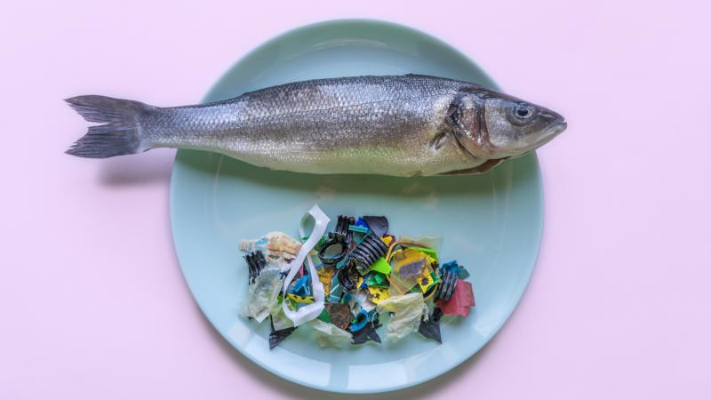 يُلوث البلاستيك طعامنا ويُهدد صحتنا - غيتي 
