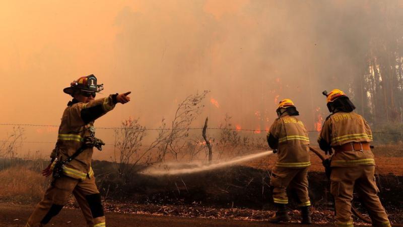 تسبّبت حرائق غابات تشيلي في فبراير بمقتل 137 شخصًا - غيتي
