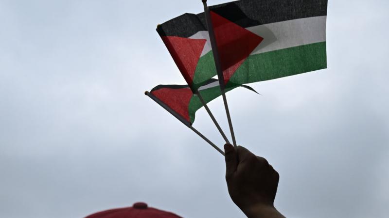 ارتفع عدد الدول المعترفة بدولة فلسطين إلى 147 دولة من أصل 193 دولة - غيتي