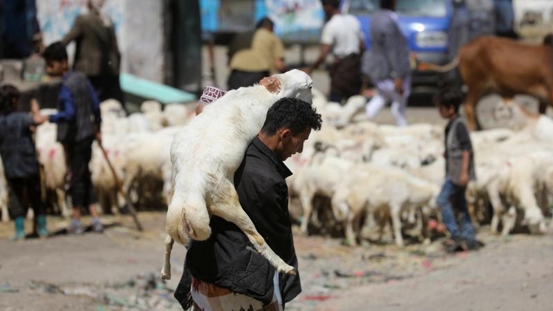 تتنوّع التقاليد المرتبطة بكيفية حفظ اللحوم في عيد الأضحى وغيره من المناسبات