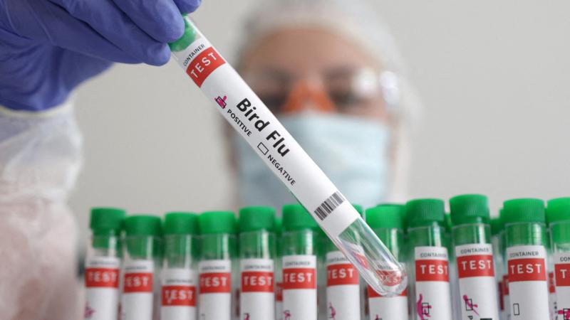 سجّلت منظمة الصحة العالمية أول وفاة مؤكدة بسلالة جديدة من إنفلونزا الطيور