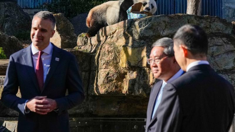 تُشكّل "دبلوماسية الباندا" بالنسبة إلى الصين إحدى أدوات إستراتيجية "القوة الناعمة" - رويترز