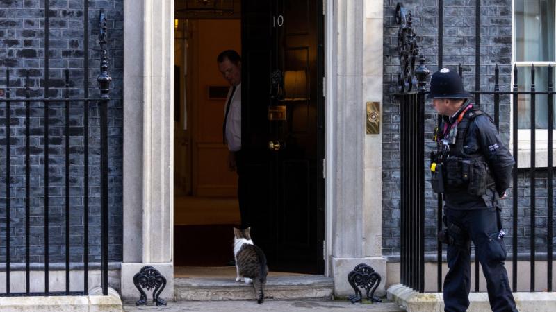 تتجه الأنظار إلى طبيعة تعاطي القط "لاري" مع الوافدين الجديدين إلى مقر رئاسة الوزراء البريطانية - غيتي