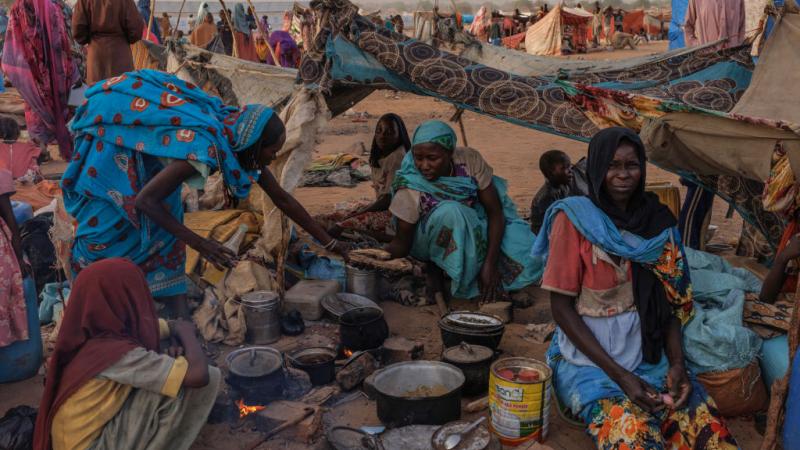 سيواجه 755 ألف شخص في 10 ولايات سودانية المجاعة جراء انعدام الأمن الغذائي الحاد