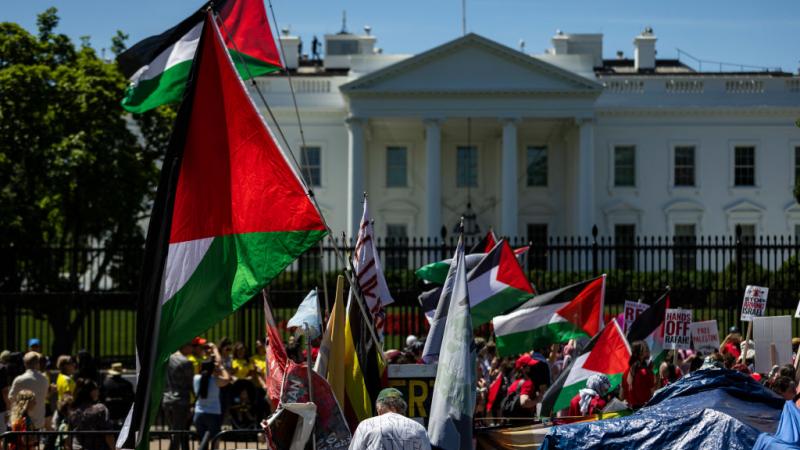 الأعلام الفلسطينية تحاصر البيت الأبيض