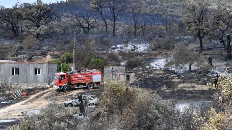 أطلقت السلطات الجزائرية قبل أسابيع جهازا لمكافحة حرائق الغابات