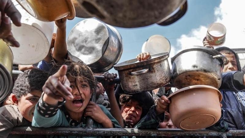 حذّر خبراء في مجال الأمن الغذائي العالمي من أن المجاعة باتت وشيكة في شمال غزة- الأناضول